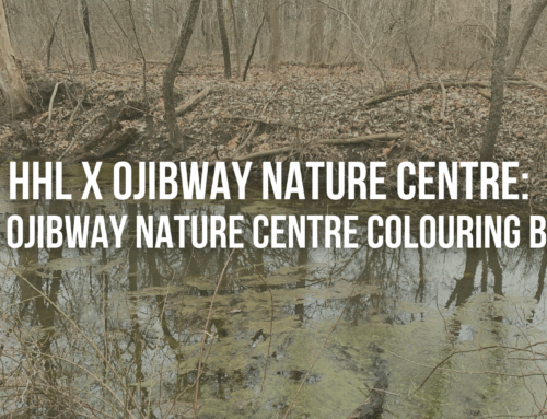 HHL x Ojibway Nature Centre: Our Ojibway Nature Centre Colouring Book