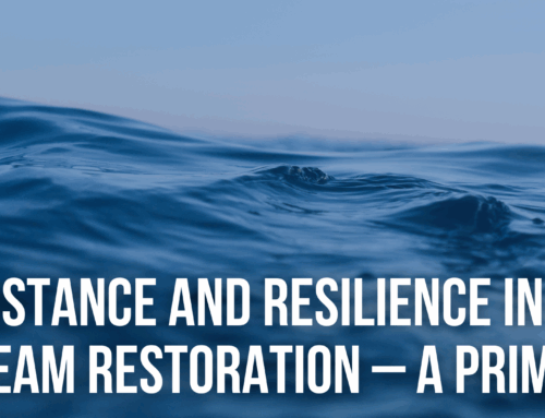 Resistance and Resilience in Stream Restoration – A Primer