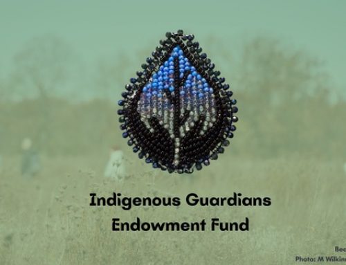Indigenous Guardians Endowment Fund
