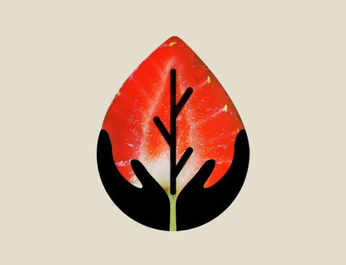 Indigenous Guardians Endowment Fund