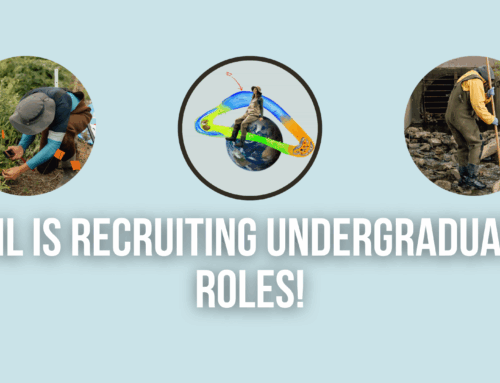 HHL Is Recruiting Undergraduate Roles!