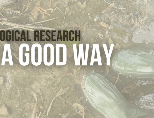 Ecological Research “In a Good Way”